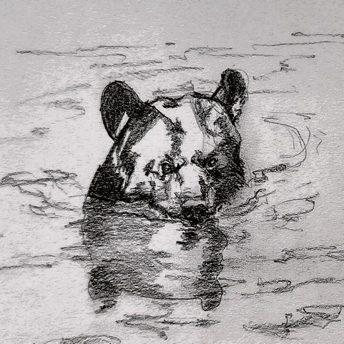 Christophe Bourdinaud