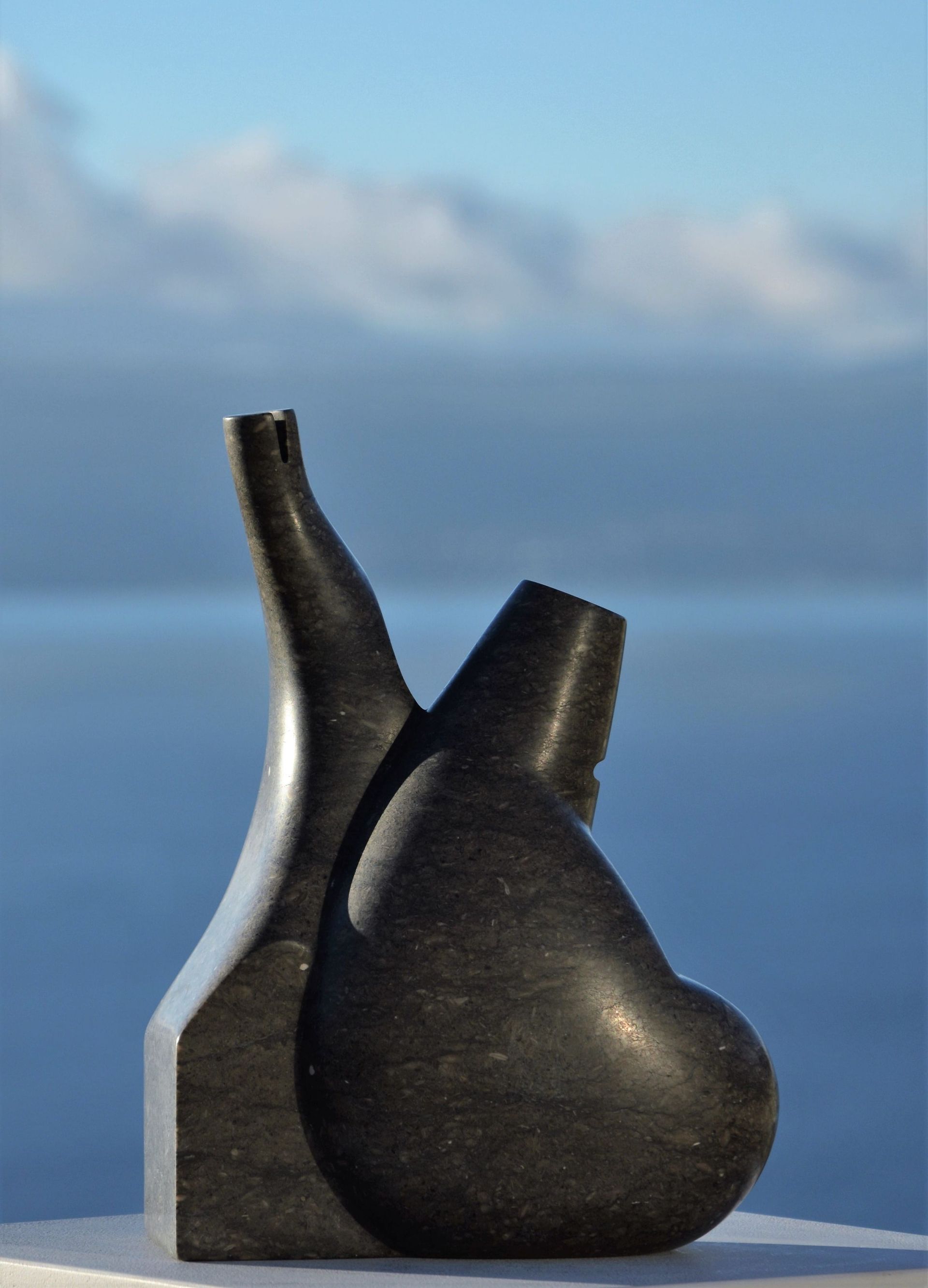 Christophe Bourdinaud - taille marbre