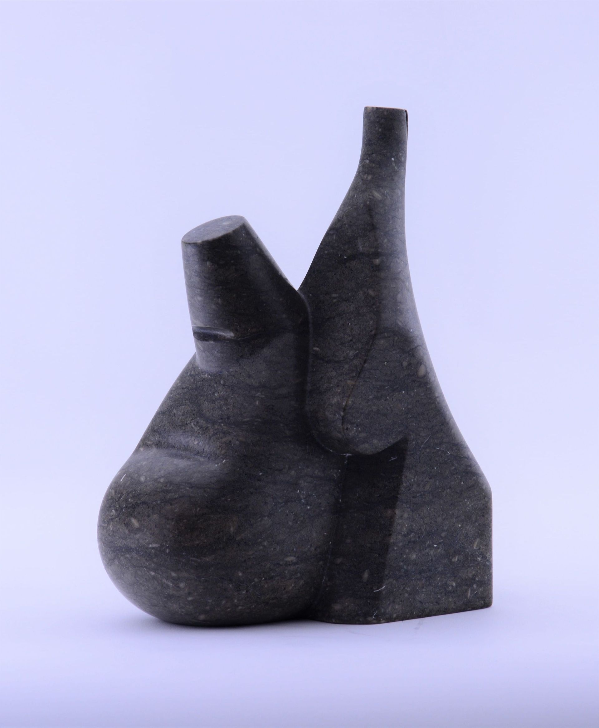 Christophe Bourdinaud - taille calcaire