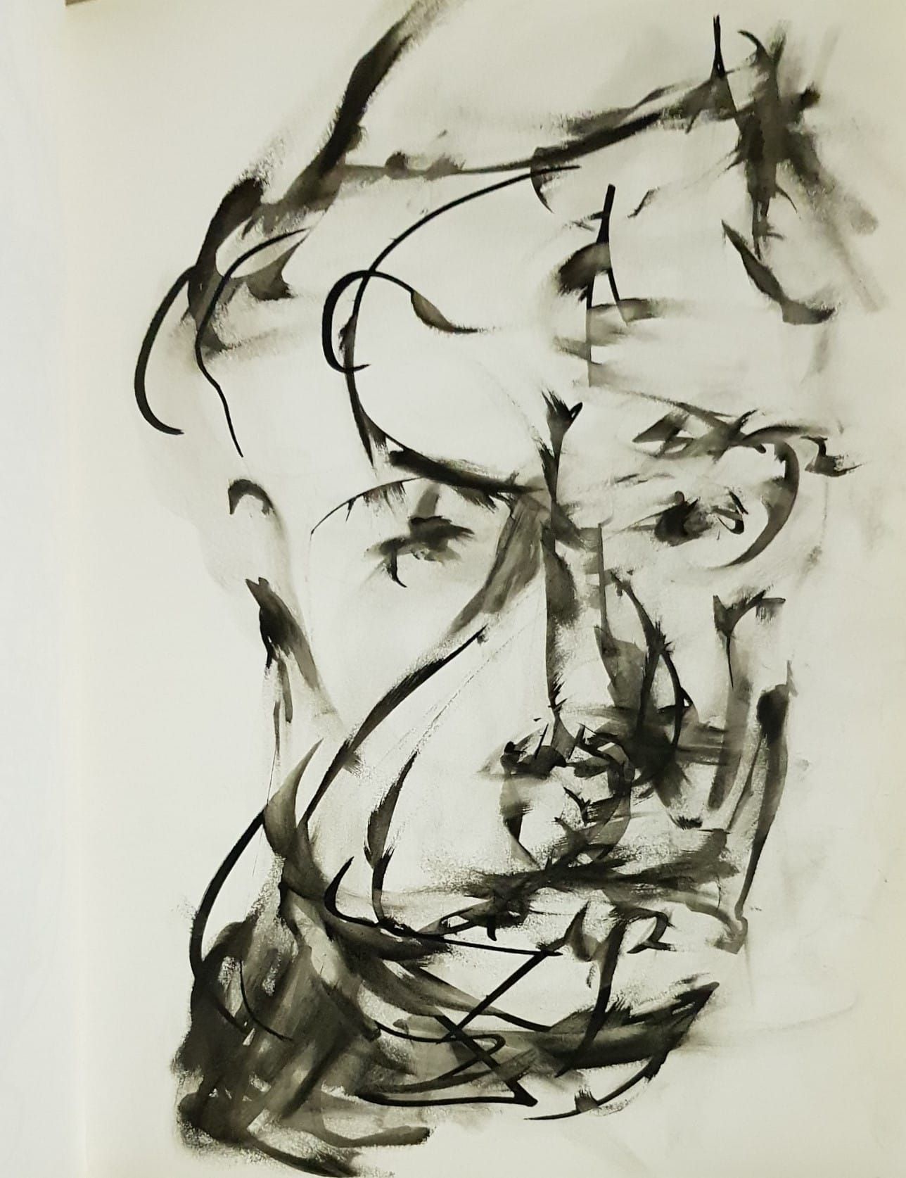 Christophe Bourdinaud - esquisse