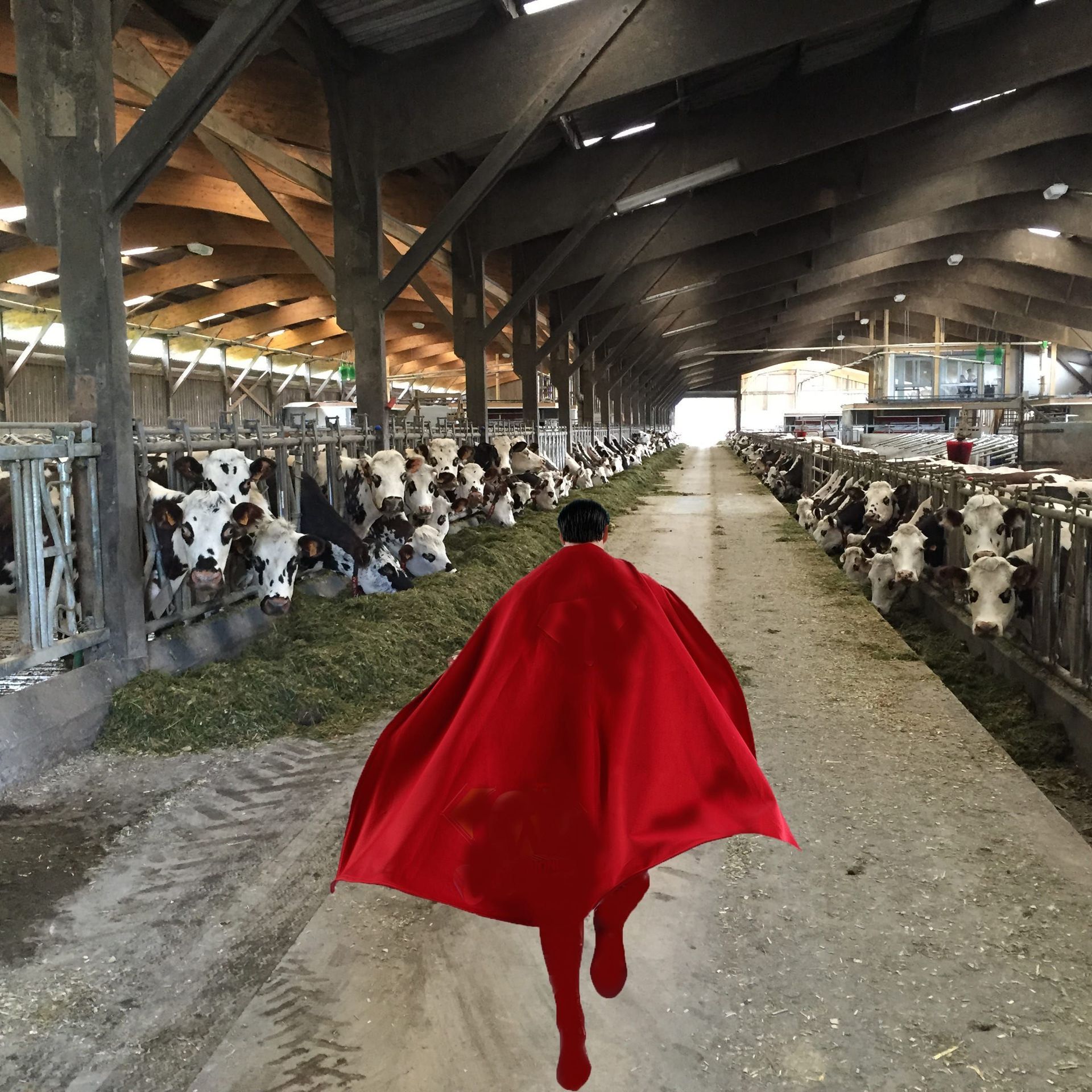 Christophe Bourdinaud - processus de création