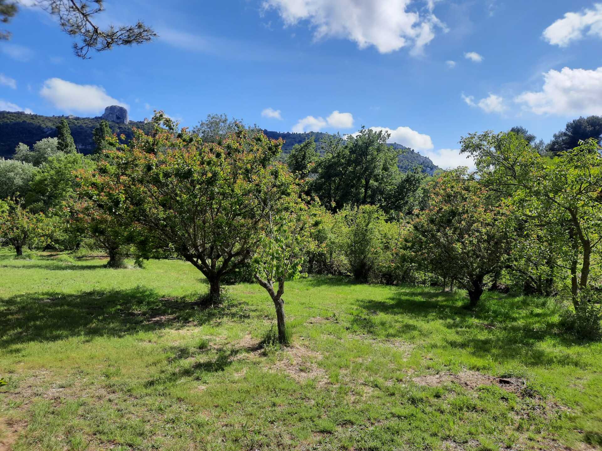 Une campagne relaxante