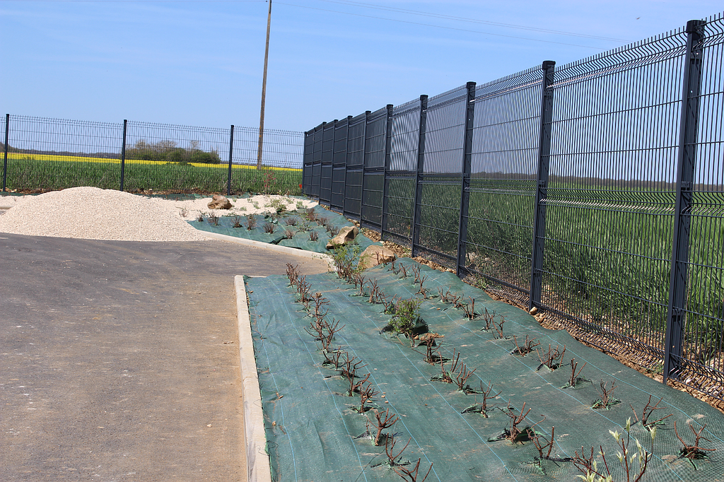 Besnard Paysages 36250 Niherne Indre Aménagement plantation de talus