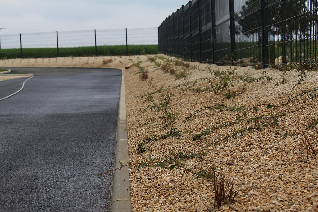 Besnard Paysages 36250 Niherne Indre Aménagement plantation de talus