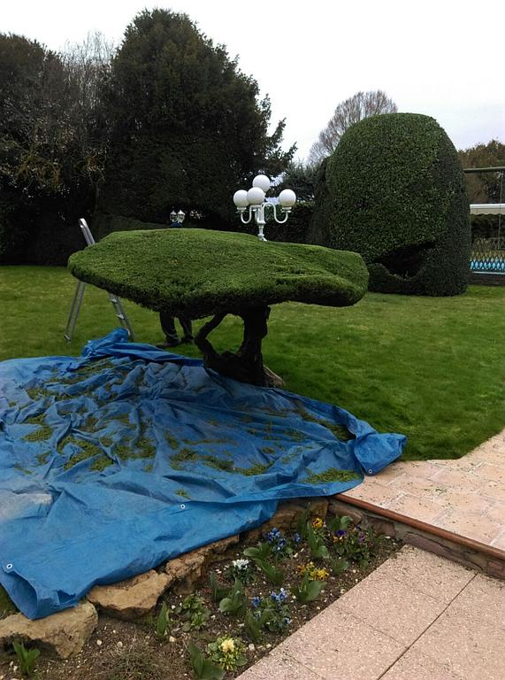 Besnard Paysages 36250 Niherne Indre taille japonisante Après