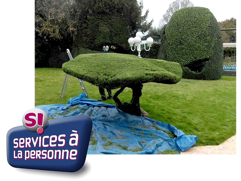 Taille japonisante Taille japonisante