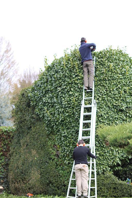 Besnard Paysages36250 Niherne Indre Taille Entretien (47)