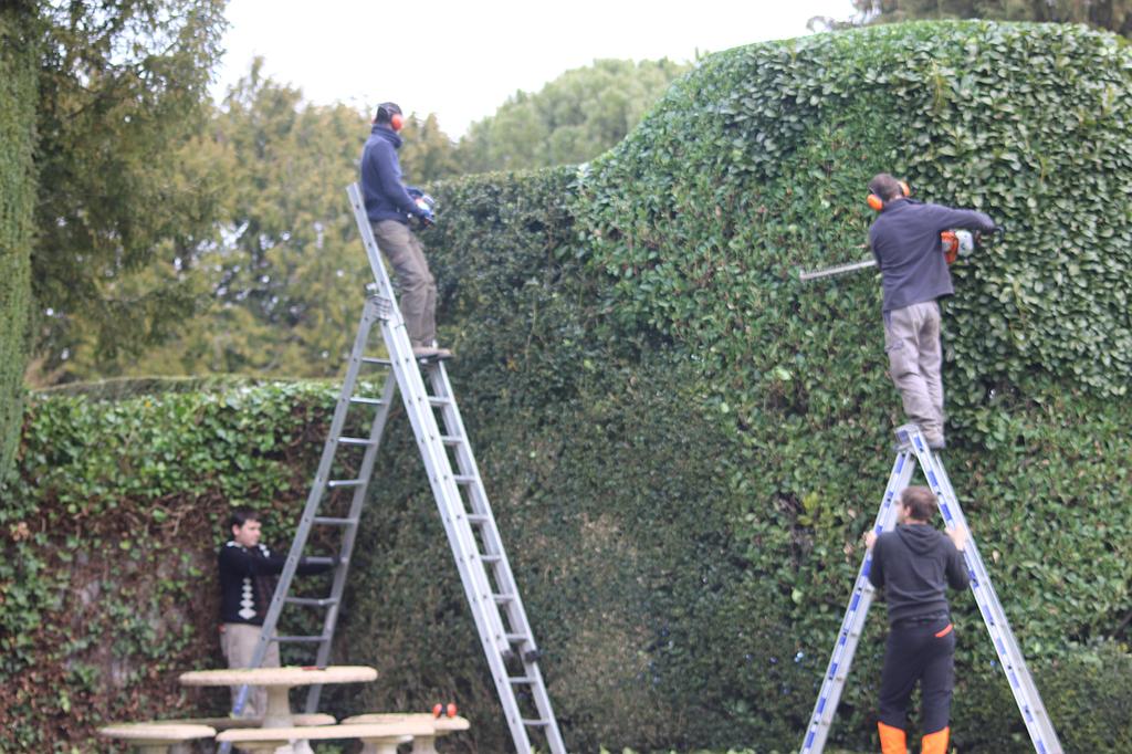 Besnard Paysages 36250 Niherne Indre Tailles Entretien (17)