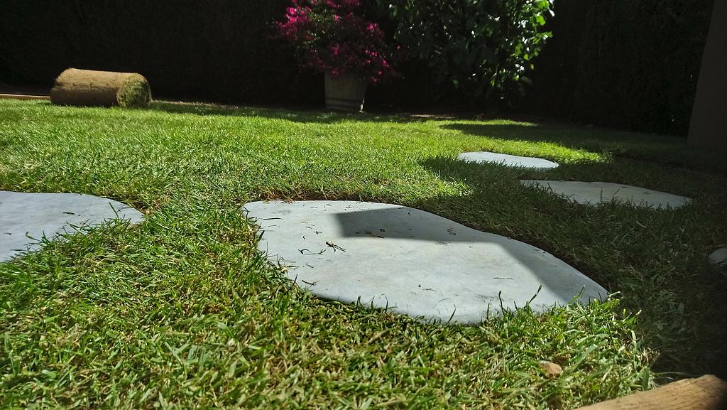 Besnard Paysages 36250 Niherne Indre Gazon plaquage (8)