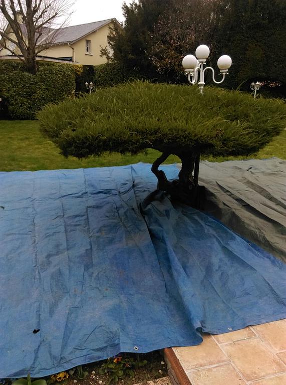 Besnard Paysages 36250 Niherne Indre taille japonisante Avant