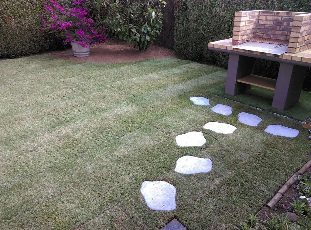 Besnard Paysages 36250 Niherne Indre Gazon plaquage (1)