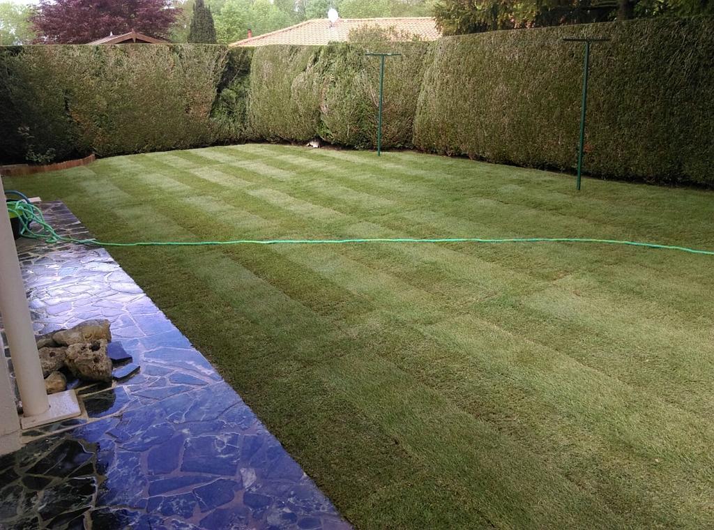 Besnard Paysages 36250 Niherne Indre Gazon plaquage (2)