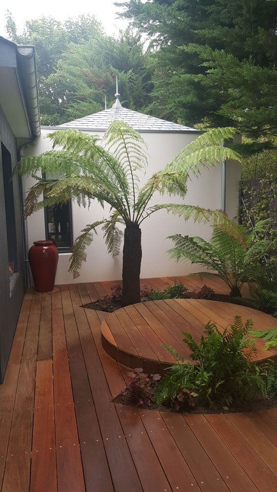 Palmier dans une terrasse en bois