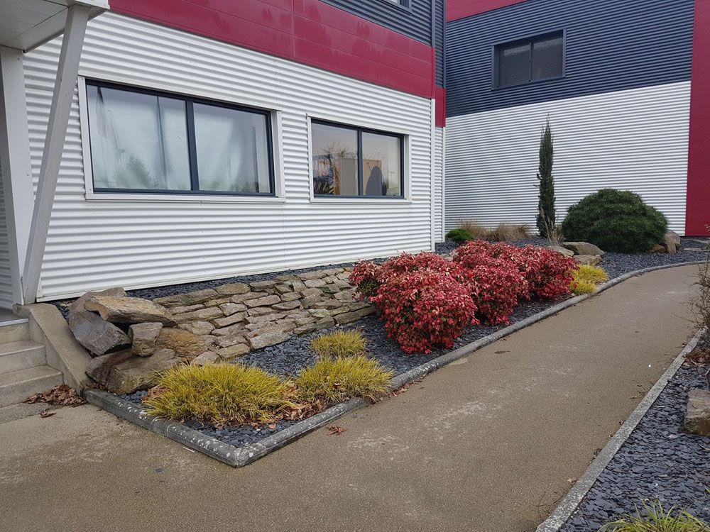 Massif végétal devant un batiment