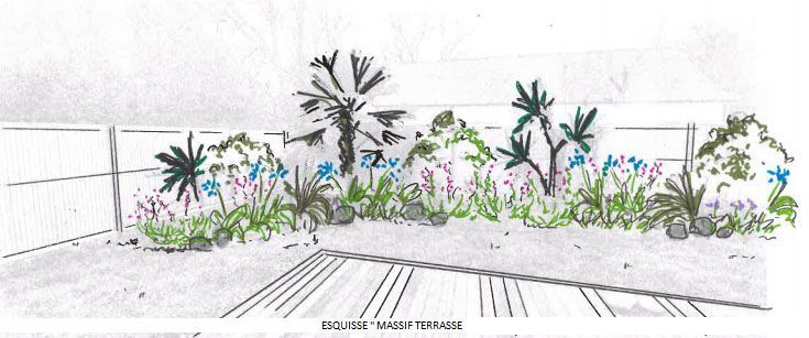 Esquisse de massif végétal de terrasse