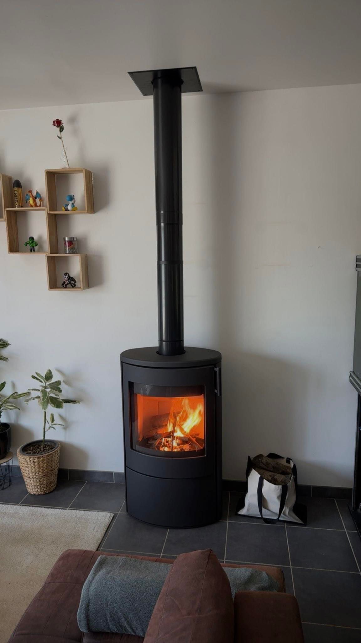 Poêle à bois noir avec un feu crépitant dans un salon chaleureux agrémenté d'étagères et d'une plante.