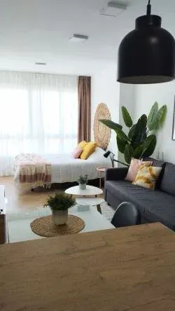 Sala de estar luminosa con sofá gris, planta grande, mesa de centro blanca y lámpara colgante negra