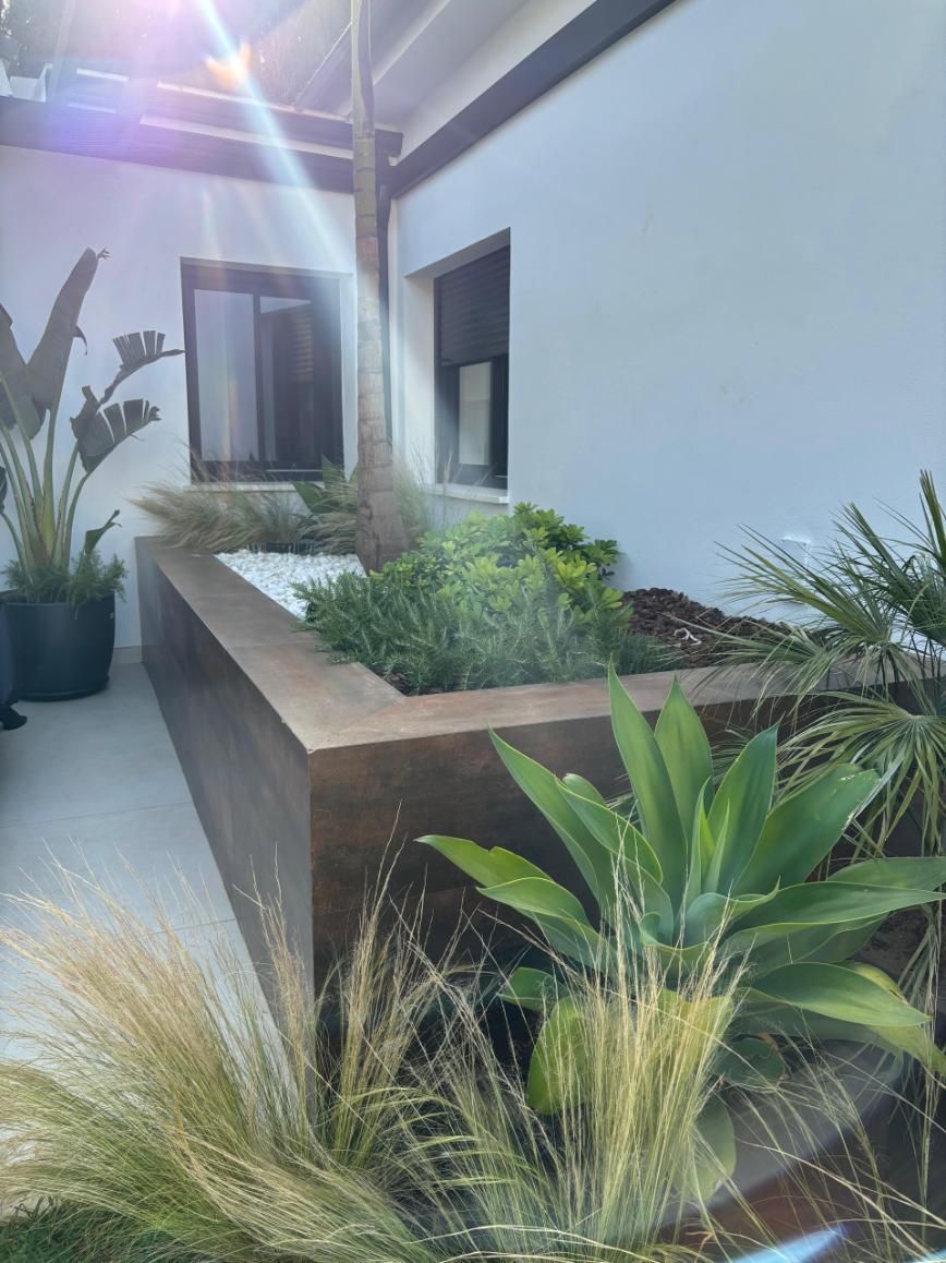 Patio moderno con paredes blancas, jardineras elevadas y exuberantes plantas verdes bañadas por la luz del sol.