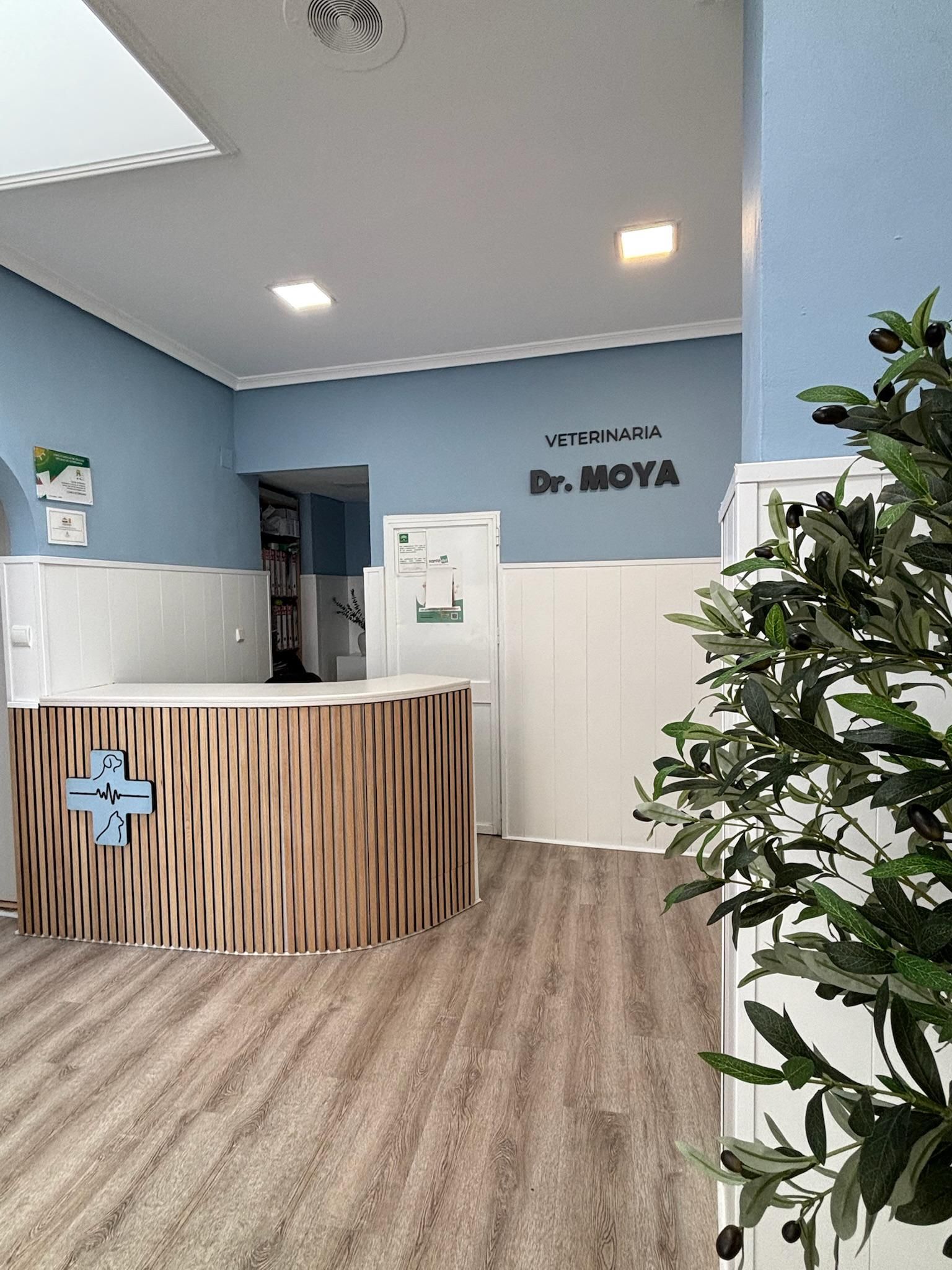 Sala de estar moderna con sofá blanco, mesa de centro de madera, alfombra estampada y zona de comedor al fondo.