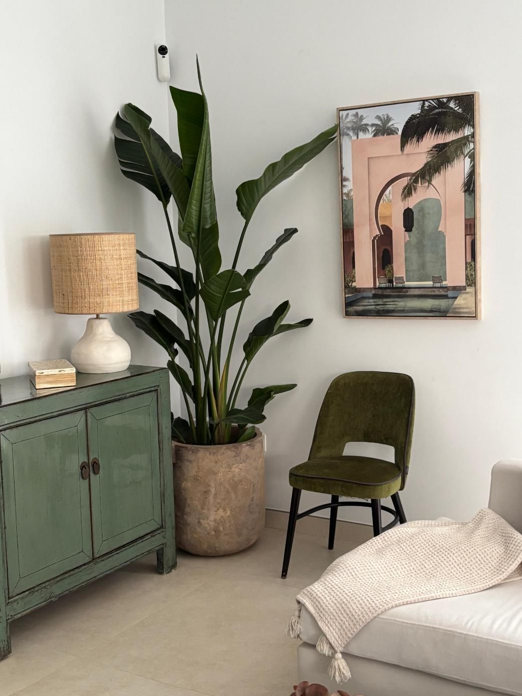 Rincón acogedor con una planta alta en maceta, un armario verde, una silla, una lámpara y un cuadro enmarcado en la pared.