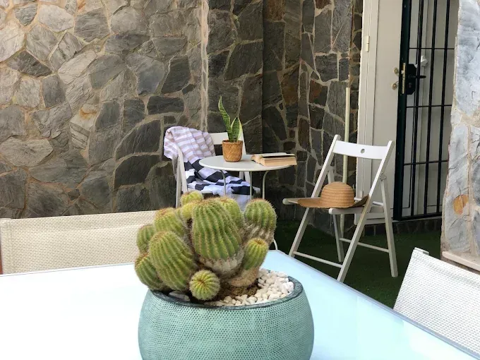 Cactus en maceta sobre una mesa de patio con pared de piedra, sillas y una pequeña mesa auxiliar detrás.