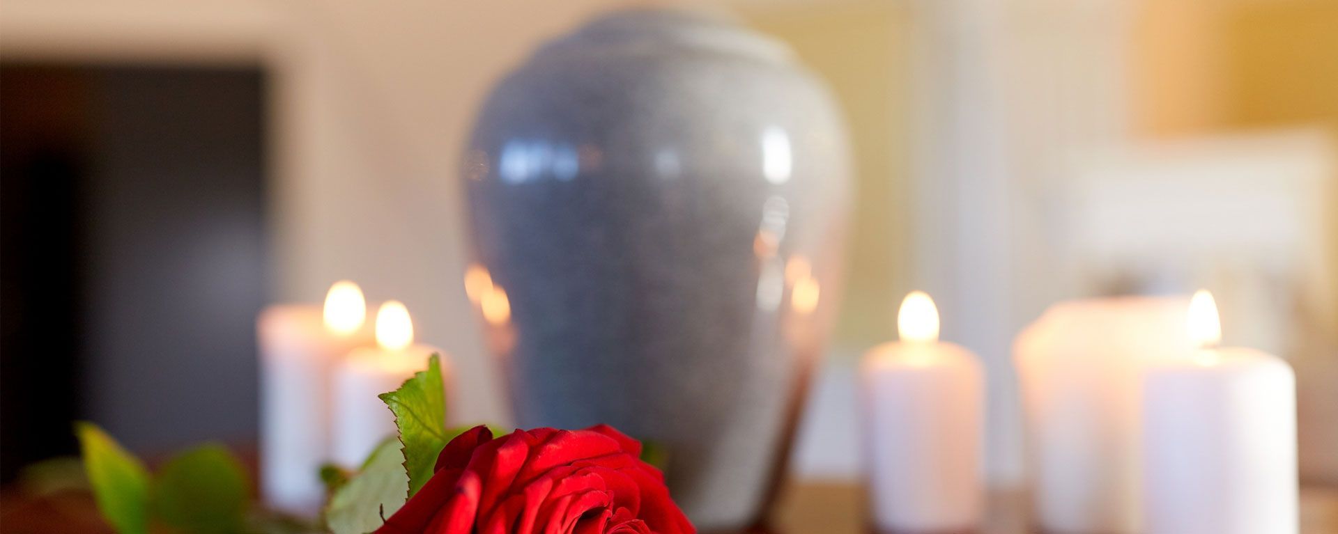 Electrical Install at Appartment