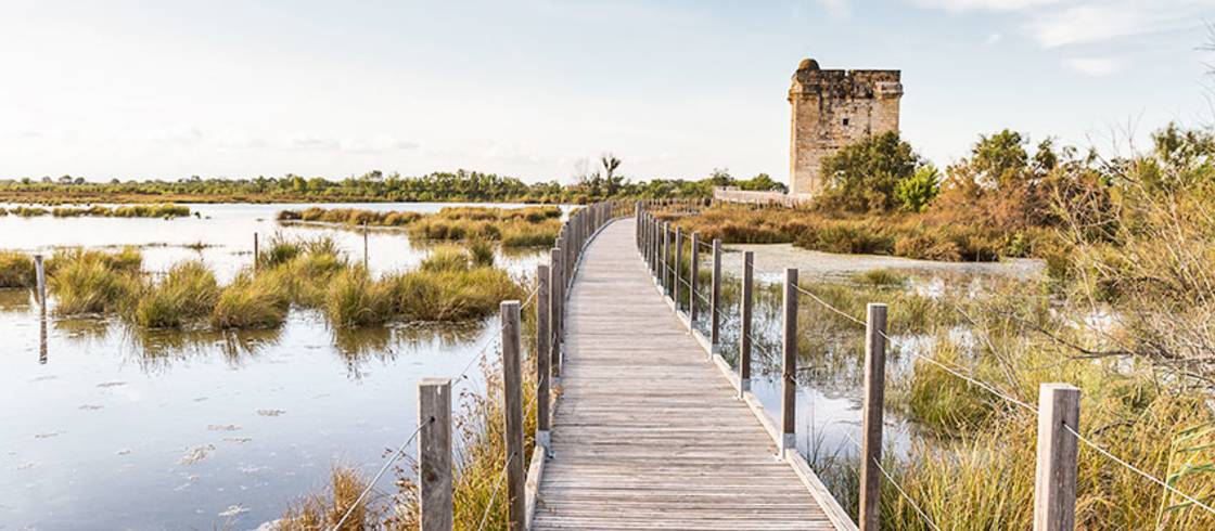 Un ponton devant un vieux château.