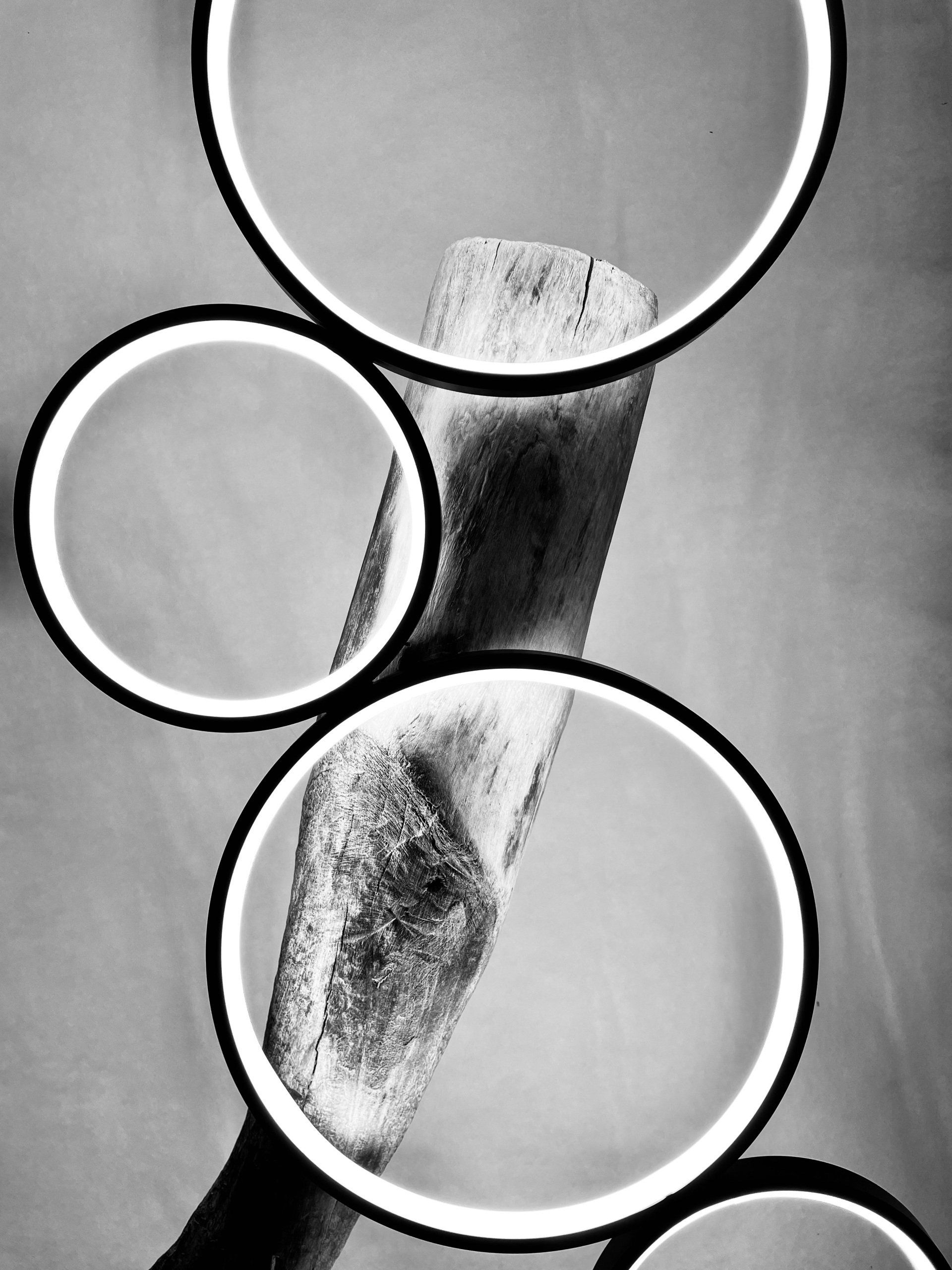 Un luminaire créé par Fabien Roux.
