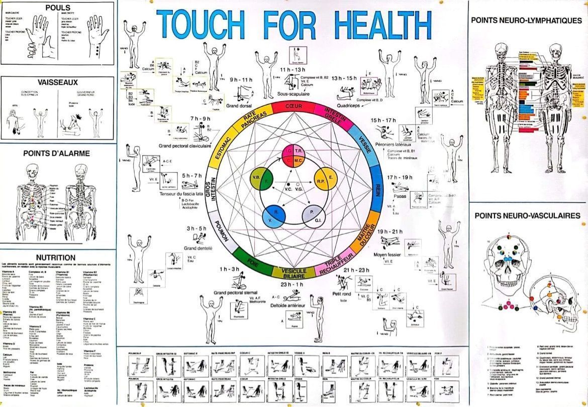 Un tableau d'instructions « Touch for Health » comprenant une roue des méridiens colorée, des schémas du squelette et des illustrations d'exercices.
