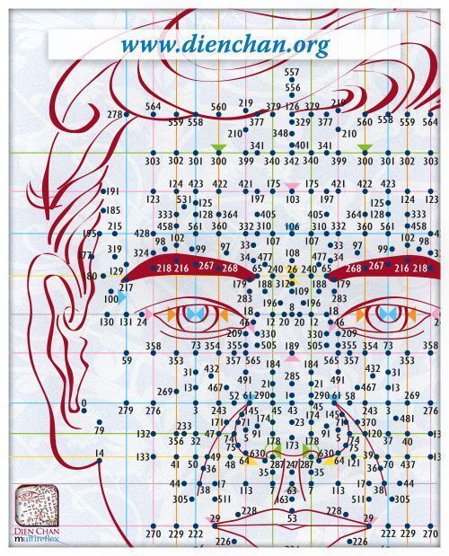 Carte d'acupuncture médicale représentant un visage humain marqué d'une grille dense de points de réflexologie numérotés.