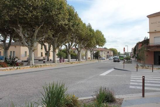 Des arbres le long d'une route.