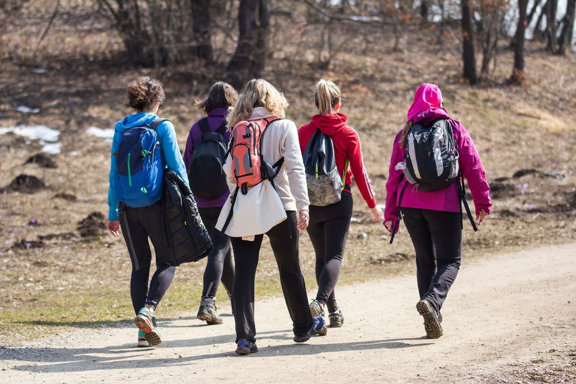Cinq personnes randonnent sur un chemin de terre, portant des sacs à dos et des vêtements de sport.