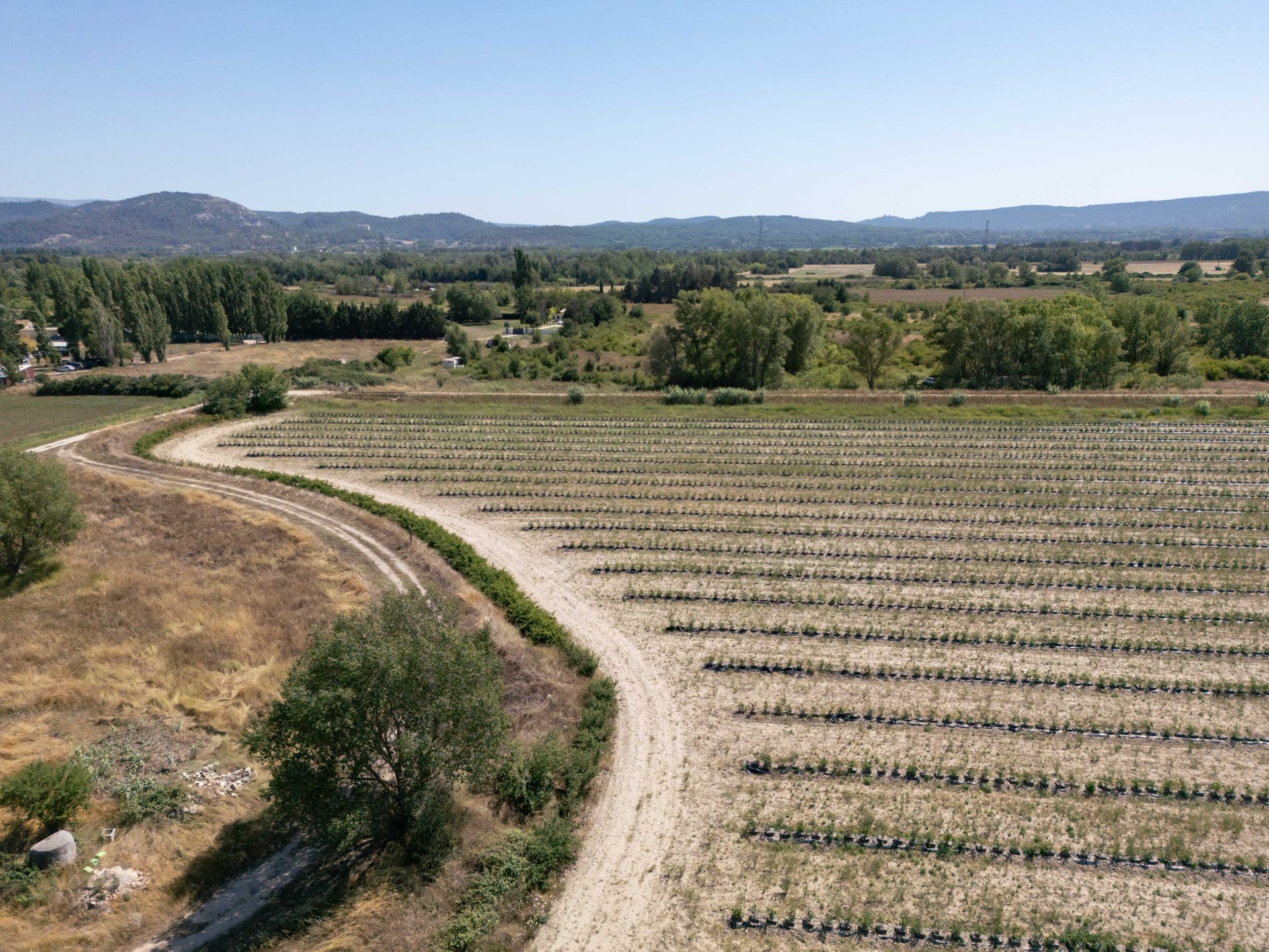 Une rangée de chaises et un écran de projection dans un champ herbeux.