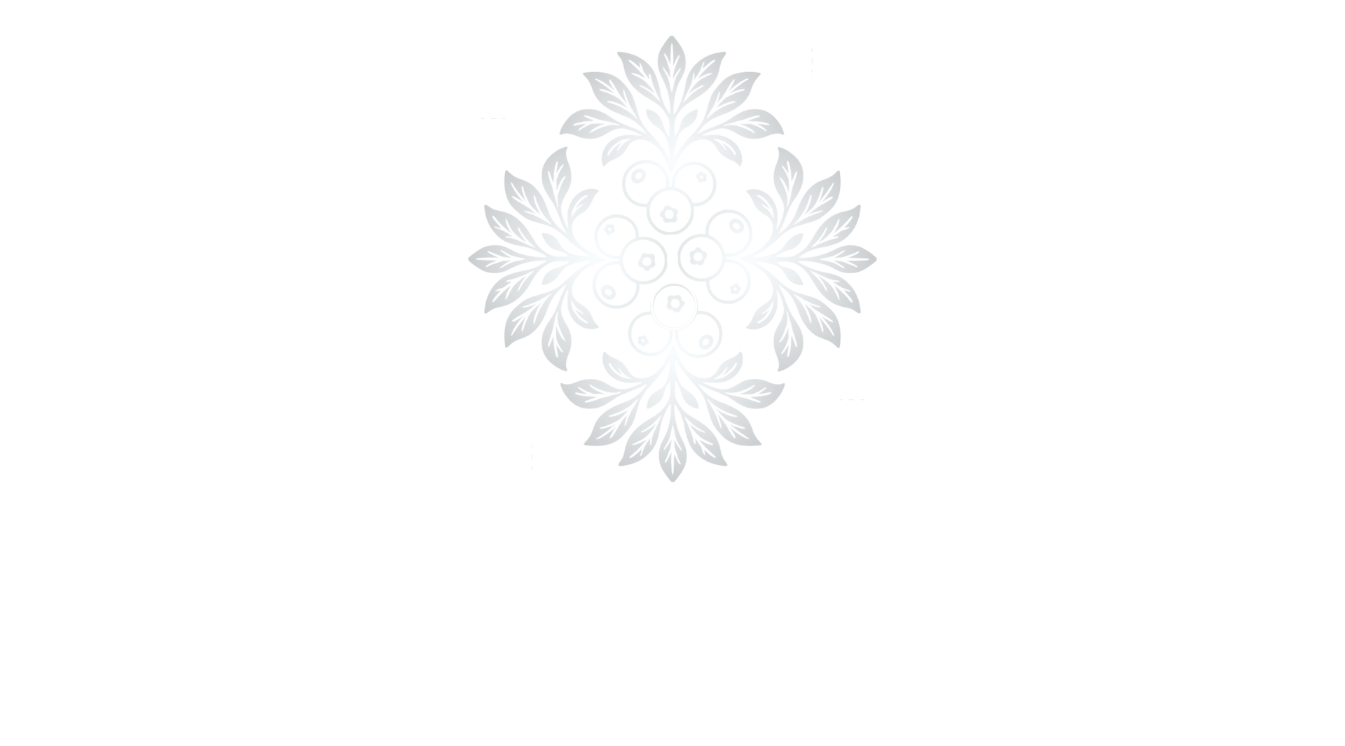 Un fond blanc avec quelques lignes dessus
