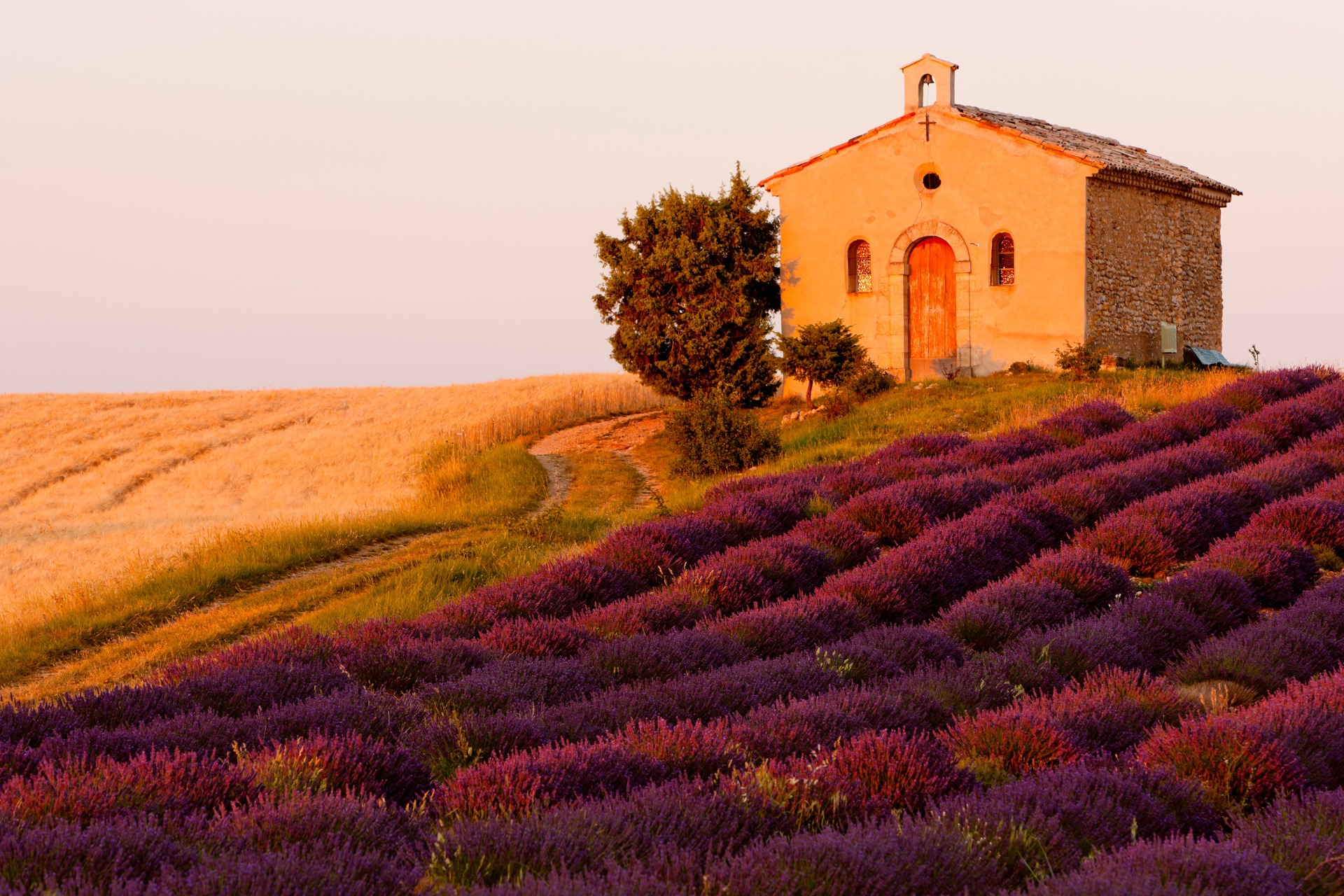 Chapelle sur une colline au-dessus des champs de lavande et du blé doré au coucher du soleil.