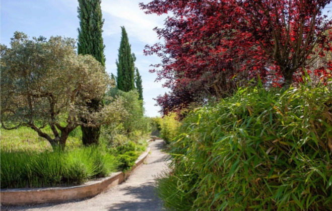 Chemin bordé d'arbres et d'arbustes aux couleurs variées, avec un ciel bleu clair.