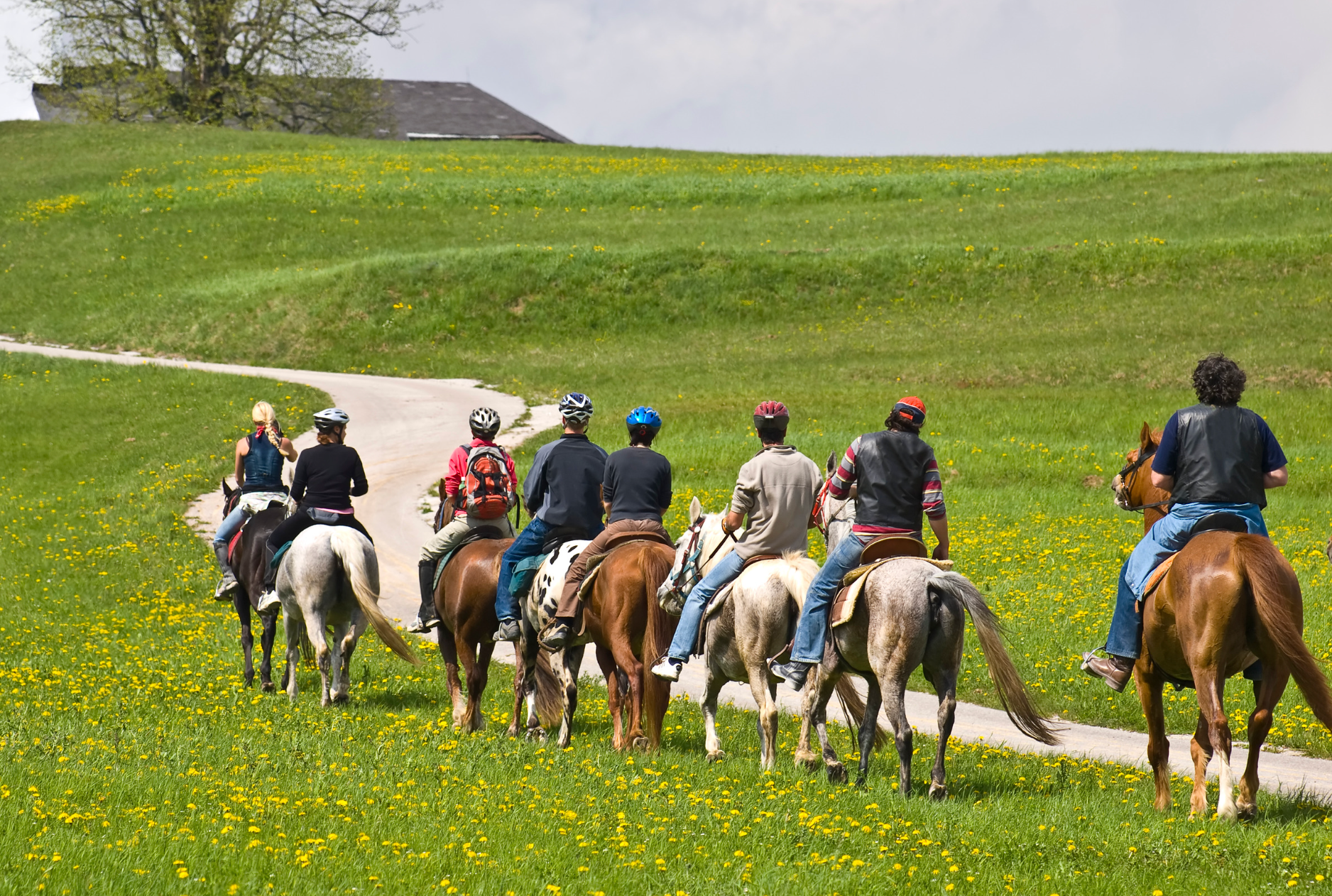 Un groupe en balade à cheval sur un sentier herbeux, sous un ciel ensoleillé.