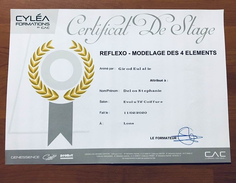 Certificat de stage - Reflexo