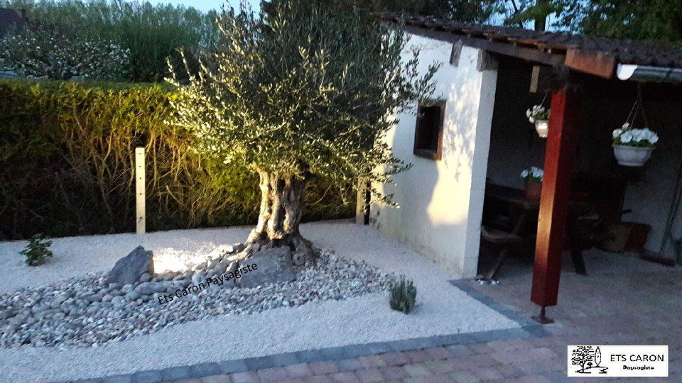 Petit jardin avec un arbre, une bordure de gravier et un abri de jardin blanc à côté d'une terrasse au coucher du soleil.
