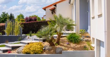 Un jardin avec un escalier et un muret.