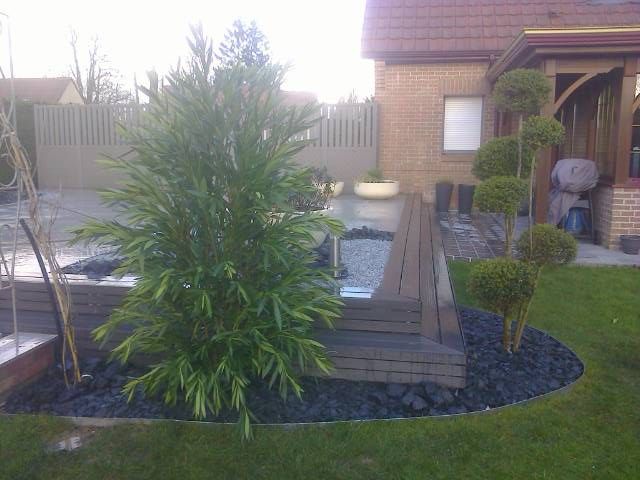Un arbre dans un parterre de cailloux autour d'une piscine.