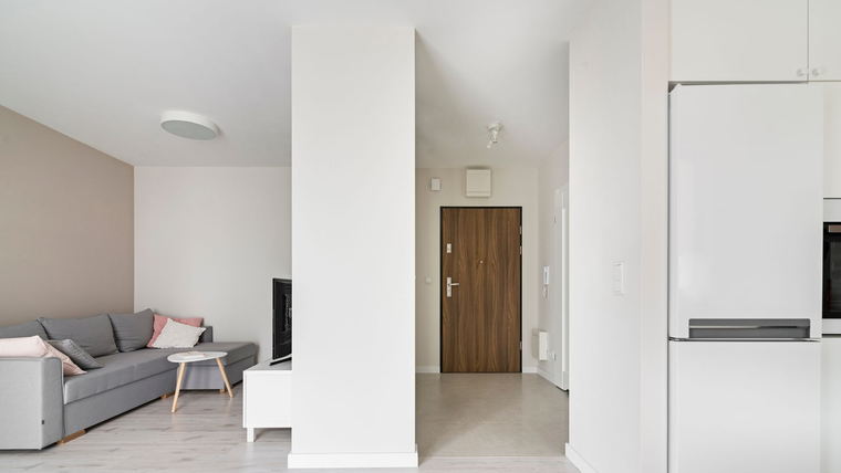 Salon et couloir modernes, avec un canapé, des murs et une porte d’entrée en bois.