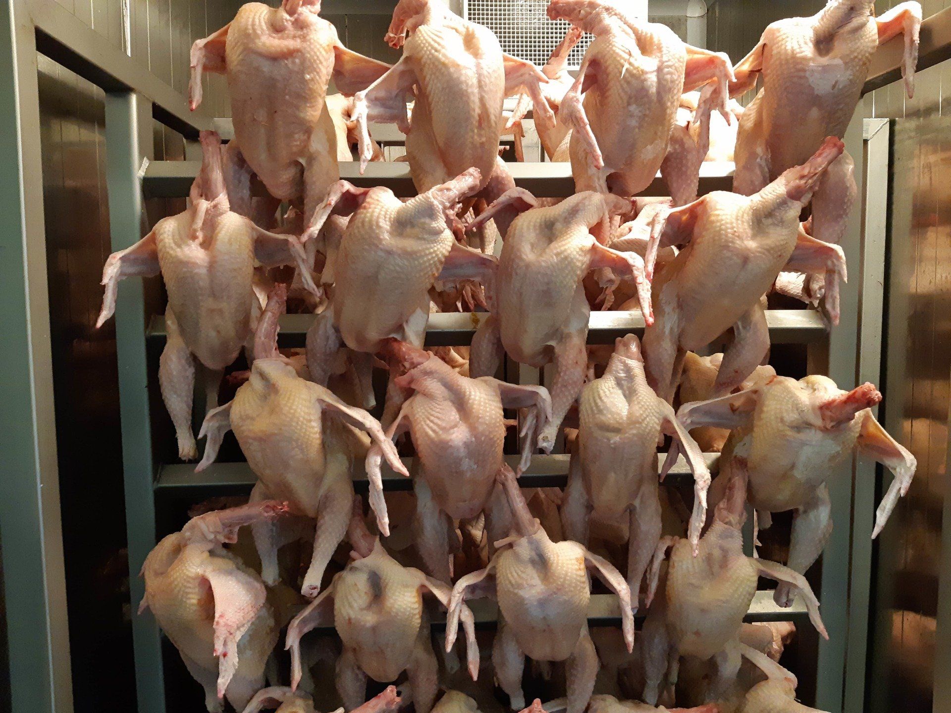 Ou Se Trouve Le Soliles Du Poulet