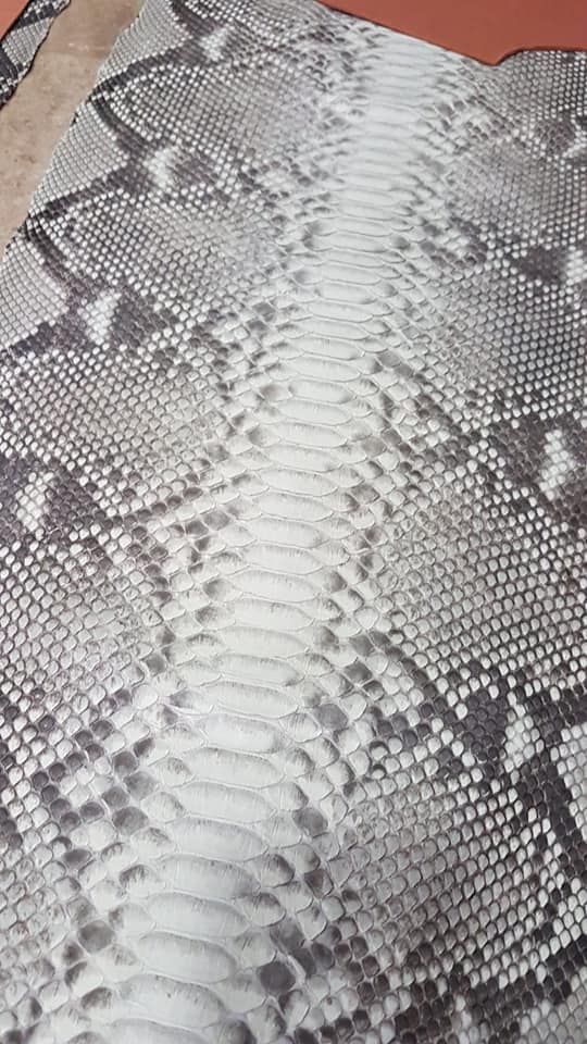 Piel de serpiente, escamas blancas y grises, texturizada.