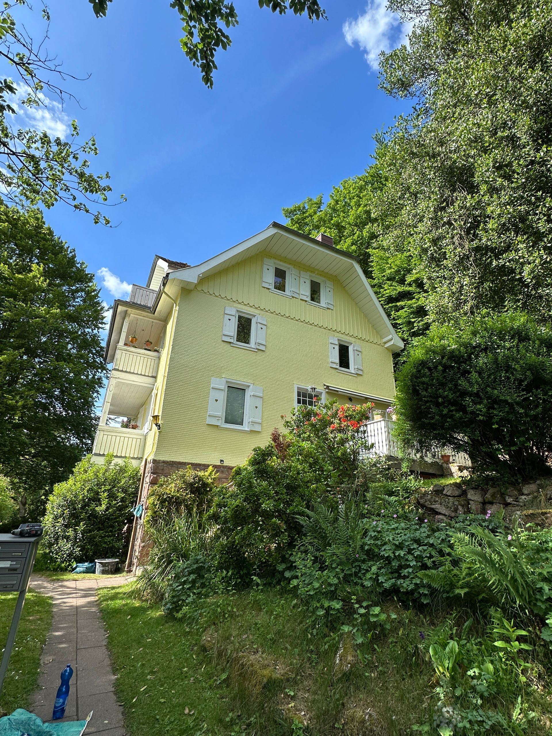 Außenansicht renoviertes Haus mit neuem Anstrich im Grünen