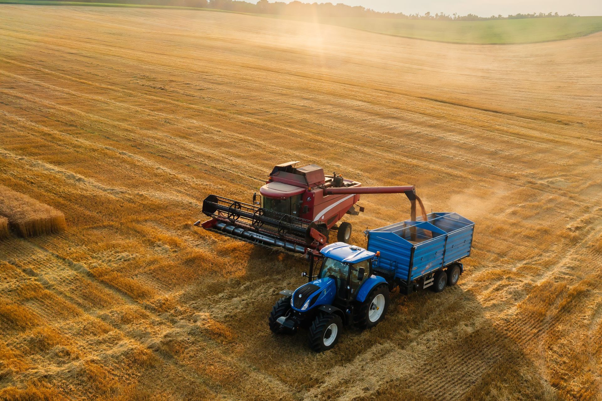 Une moissonneuse qui remplit la remorque d'un tracteur avec les céréales.