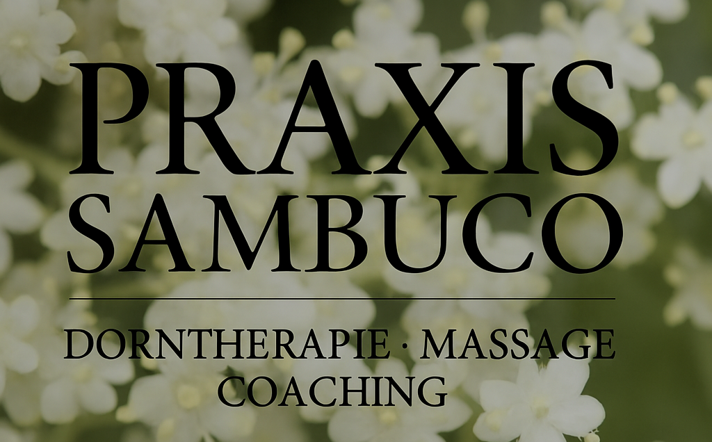 Praxis sambuco-logo