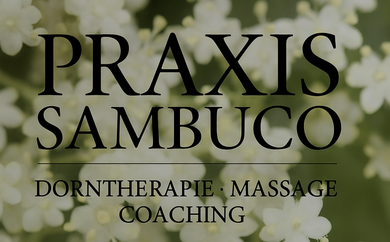 Praxis sambuco-logo