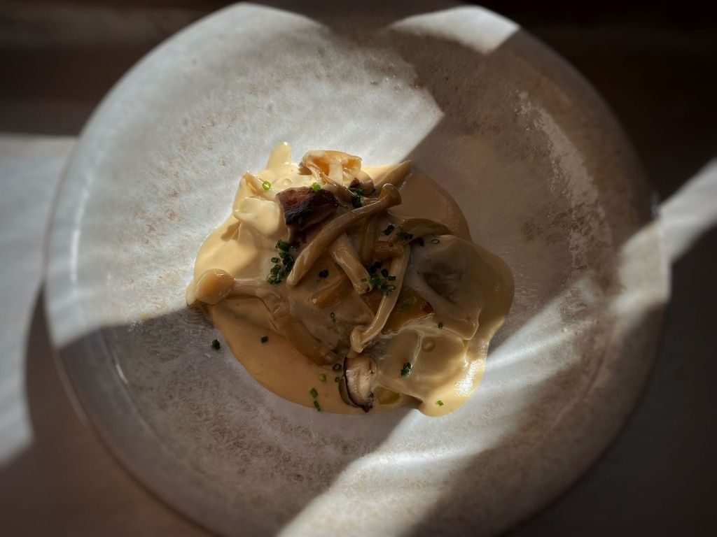 Fotografía cenital de un plato gourmet con una salsa cremosa cubierta con champiñones y cebollino, servido en un plato blanco de forma orgánica.