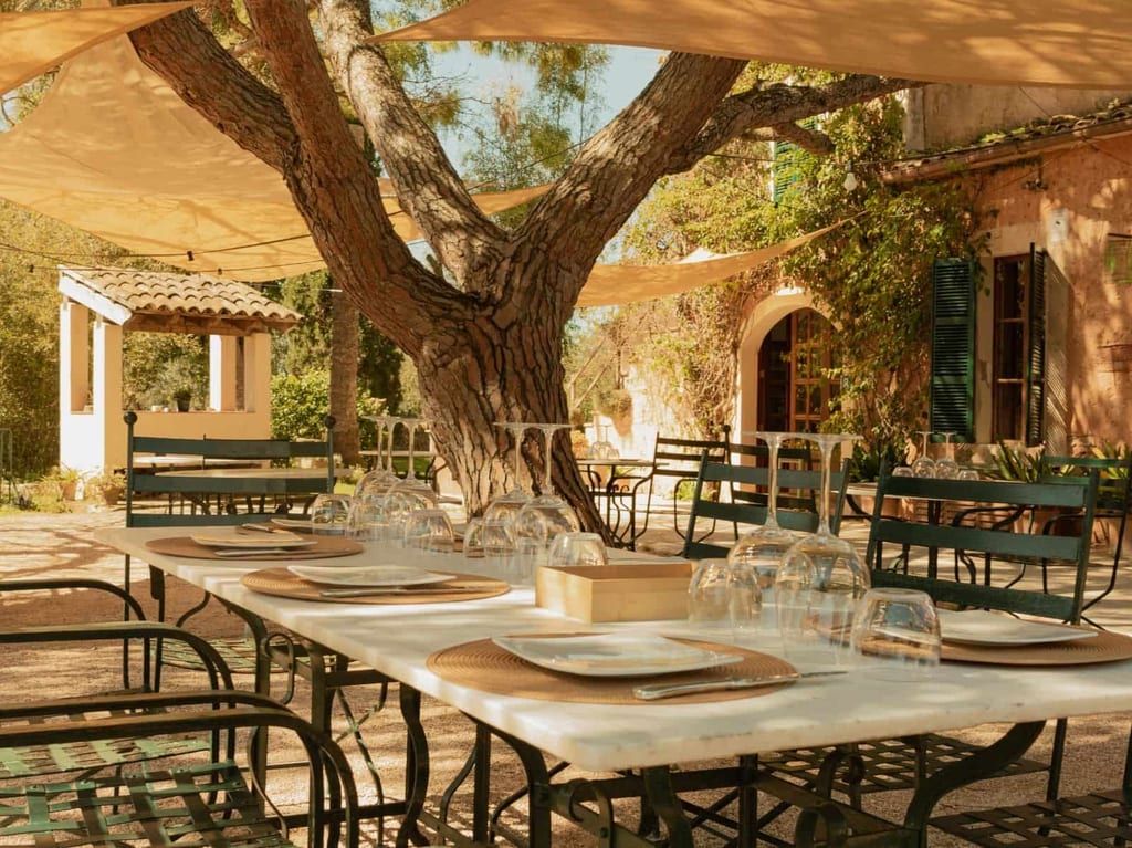 Mesa de comedor al aire libre situada bajo un gran árbol, con cubiertos y un edificio al fondo.